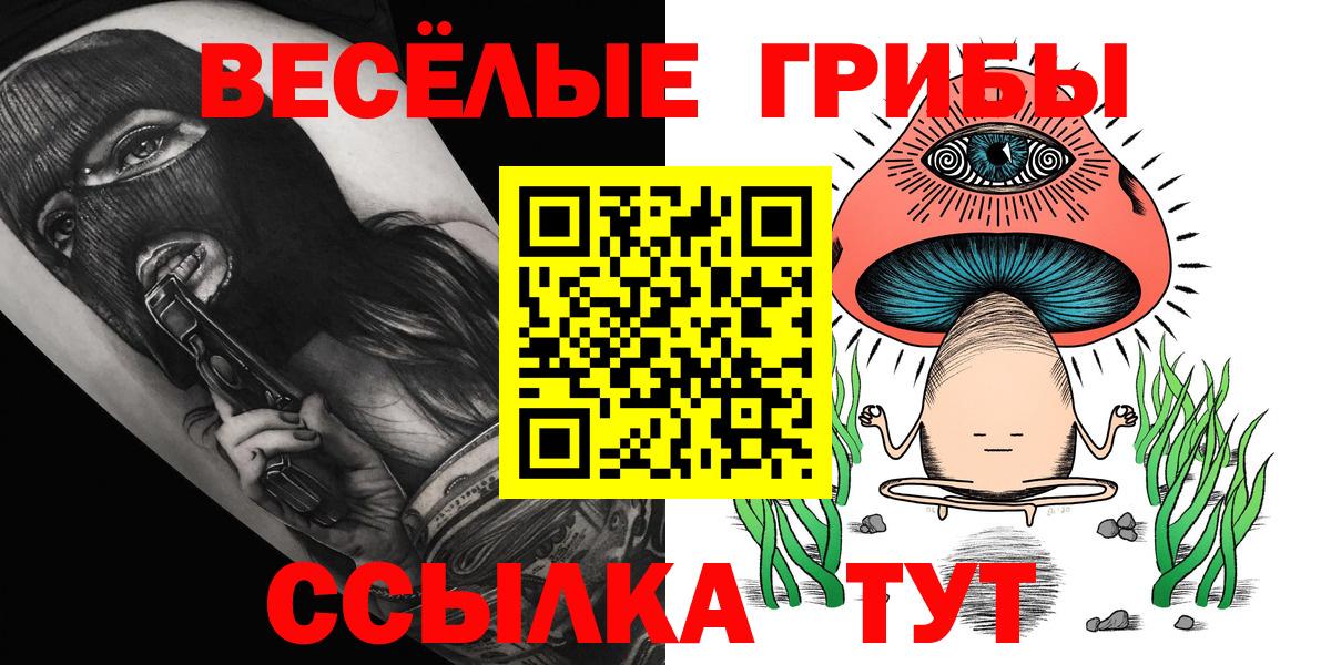 Псилоцибиновые грибы MAGIC MUSHROOMS  Псилоцибиновые грибы Psilocybine cubensis  Кореновск  Вход с VPN 